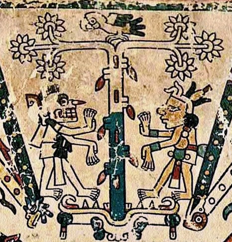 Kakaobaum im Codex Fejérváry-Mayer – zwei Gottheiten zu beiden Seiten eines Kakaobaums