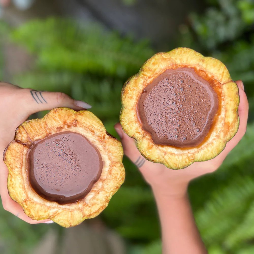 Two hands holding frothed cacao in halved cacao pods