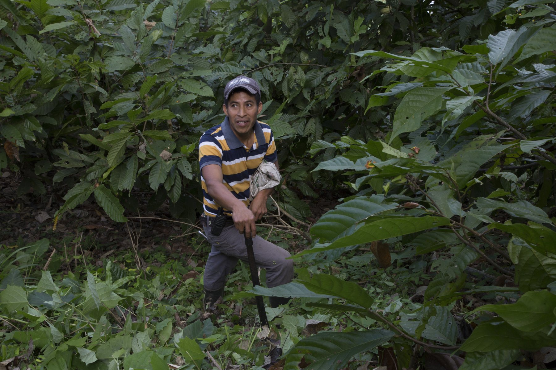 Soil & care – The men – machetes instead of herbicide