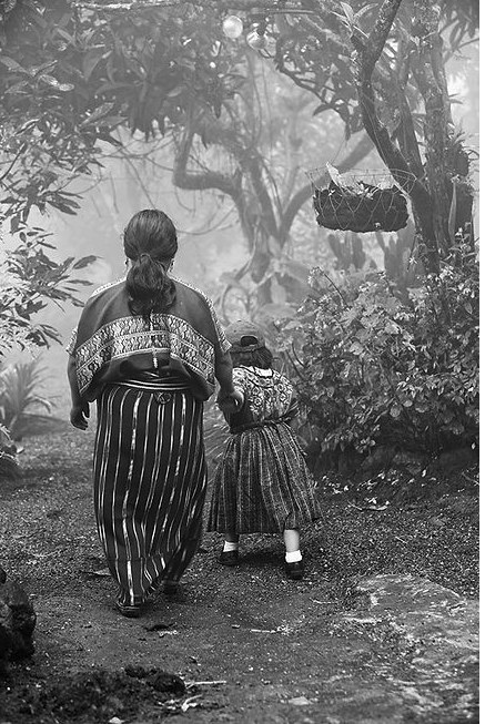 The villages – a Maya woman walks along a misty forest path, holding a child by the hand